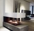 Bedroom Gas Fireplace Lovely Bellfires Room Divider Large Nice Designs