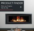 Best Gas Fireplace Insert New astria Fireplaces & Gas Logs