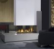 Biofuel Fireplace Fresh Modern Bio Ethanol Fireplaces Charming Fireplace