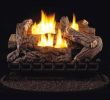 Ceramic Logs for Gas Fireplace Beautiful 27 In Vent Free Propane Gas Log Set with Millivolt Control