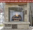 Cheap Wood Burning Fireplace Insert Elegant Valiant Od