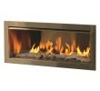 Cheap Wood Burning Fireplace Insert New Firegear Od42 42" Gas Outdoor Vent Free Fireplace Insert