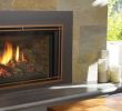 Contemporary Fireplace Inserts Elegant Gas Fireplace Inserts Regency Fireplace Products