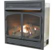 Convert Wood Burning Fireplace to Gas Logs Awesome Gas Fireplace Inserts Fireplace Inserts the Home Depot