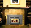 Convert Wood Fireplace to Electric Fresh Convert Wood Fireplace to Gas Cost Near Me Co – Morbanfo