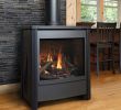 Corner Gas Fireplace Awesome Kingsman Fdv451 Free Standing Direct Vent Gas Stove