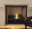 Cost Of Gas Fireplace Insert Fresh astria Fireplaces & Gas Logs