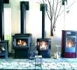 Cost to Install Gas Fireplace In Existing Fireplace Luxury Cost Of Wood Burning Fireplace – Laworks