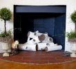 Decorative Fireplace Ideas Awesome Decorative Logs In An Unused Fireplace