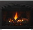 Direct Vent Gas Fireplace Reviews Fresh Escape Gas Fireplace Insert