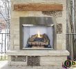 Efficient Fireplace Inserts Awesome the Best Gas Chiminea Indoor
