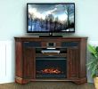 Electric Fireplace Tv Stands Costco Beautiful Electric Fireplace Heater Costco – Muny