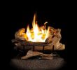 Fake Logs for Gas Fireplace Awesome American Elm 24 In Vent Free Propane Gas Fireplace Logs