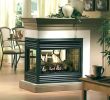 Fireboxes Fireplace Fresh Sided Electric Fireplace Multi Sided Fireplace Multi Sided