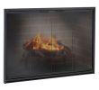 Fireplace Cover Unique Stiletto Masonry Aluminum Fireplace Glass Door