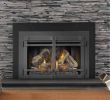 Fireplace Door Insert New the Guide Choose the Right Fireplace Door