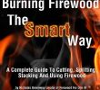 Fireplace Fire Starters Inspirational Burning Firewood the Smart Way Teaches You Everything You