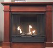 Fireplace Gel Beautiful 5 Best Gel Fireplaces Reviews Of 2019 Bestadvisor