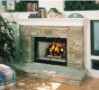 Fireplace Glass Doors with Blower Unique the 1 Wood Burning Fireplace Store Let Us Help Experts