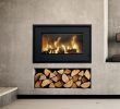 Fireplace Insert Doors Elegant Image Result for Built In Log Burner with Logs Underneath