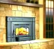 Fireplace Insert Wood Burning Luxury Buck Fireplace Insert – Petgeek