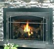 Fireplace Inserts for Sale Inspirational Wood Burning Fireplace Inserts for Sale – Janfifo