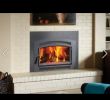 Fireplace Inserts Gas with Blower Inspirational Flush Pellet Insert Our Home