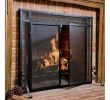 Fireplace Screens with Doors Awesome Single Panel Steel Fireplace Screen In 2019