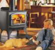 Fireplace Store orange County Fresh Wood Stoves Inserts & Fireplaces northstar Spas