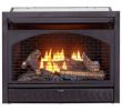 Gas Fireplace Glass Replacement Awesome Gas Fireplace Inserts Fireplace Inserts the Home Depot