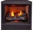 Gas Fireplace Insert Ventless Luxury Gas Fireplace Inserts Fireplace Inserts the Home Depot