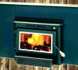 Gas Fireplace Inserts Near Me Fresh Buck Fireplace Insert – Petgeek