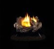 Gas Fireplace Logs Home Depot Awesome 18 In Vent Free Propane Gas Log Set with Manual Control