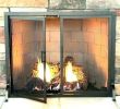 Gas Fireplace Logs Home Depot Fresh Home Depot Fireplace Accessories