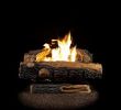 Gas Fireplace Logs Reviews Fresh Oakwood 22 75 In Vent Free Propane Gas Fireplace Logs with thermostatic Control