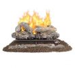 Gas Fireplace Logs with Remote Inspirational Valley Oak 24 In Vent Free Dual Fuel Gas Fireplace Logs with Remote