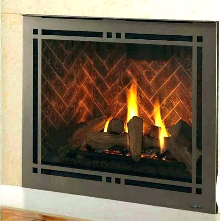 Gas Fireplace Parts Elegant Majestic Gas Fireplace Pilot Light Instructions Fireplace