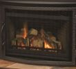 Gas Fireplace Pilot Beautiful Majestic Gas Fireplace Pilot Light Instructions Fireplace