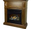 Gas Fireplace Repair Near Me Elegant 20 000 Btu 36 In Pact Convertible Ventless Propane Gas Fireplace In Heritage Oak