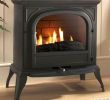 Gas Fireplace Safety Fresh Ekofires 6010 Flueless Gas Stove Home