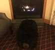 Gas Fireplace Seattle Awesome the Edgewater A Noble House Hotel Picture Of the