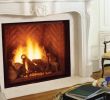 Glass Fireplace Inserts Awesome Fireplace Inserts Majestic Fireplace Inserts