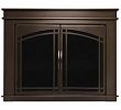 Glass Fireplace Screen New Amazon Pleasant Hearth at 1000 ascot Fireplace Glass