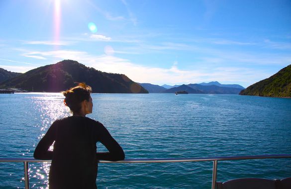 Green Mountain Fireplace Fresh Seafood Odyssea Cruise Do Marlborough sounds