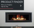 High Efficiency Fireplace Insert Luxury astria Fireplaces & Gas Logs