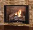 High Efficiency Gas Fireplace Insert Best Of astria Fireplaces & Gas Logs