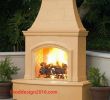 Inserts Electric Fireplace Awesome Elegant Outdoor Gas Fireplace Inserts Ideas