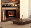 Intertek Electric Fireplace Inspirational Fireplace Inserts Napoleon Electric Fireplace Inserts