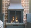 Lp Fireplace Insert Awesome Wall Mounted Ventless Gas Fireplace Unique 19 Luxury How to