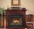 Lp Fireplace Insert Beautiful Empire Deluxe Tahoe Direct Vent Lp Fireplace Ip Blower 32